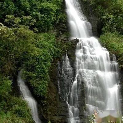 救援音乐系学生